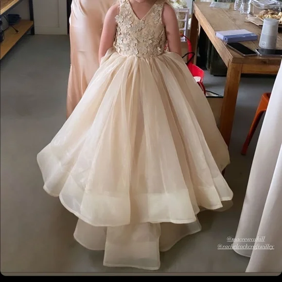 STUNNING Little Girl's Gown